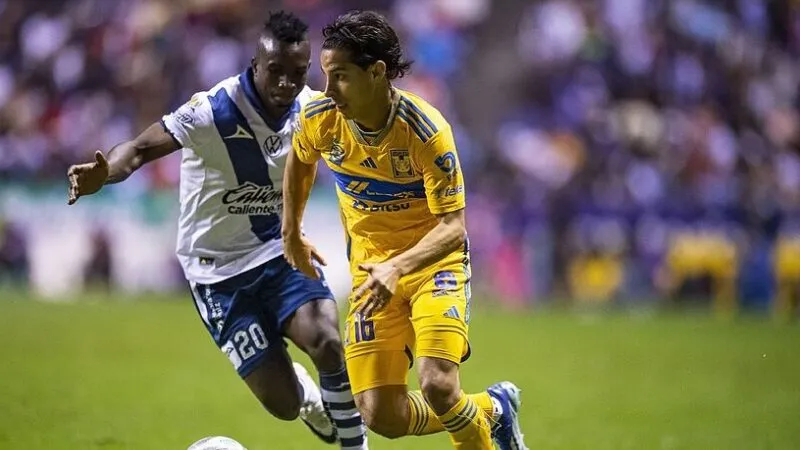 Tigres nhiều khả năng sẽ chỉ thắng Puebla với một tỉ số tối thiếu