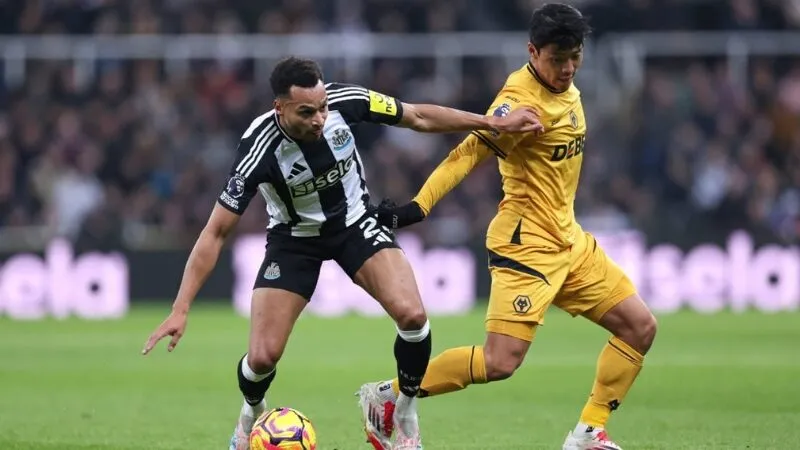 Khả năng cao Newcastle sẽ giành được 3 điểm ở trận đấu này 